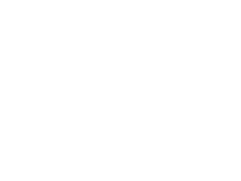 Capital Nexus